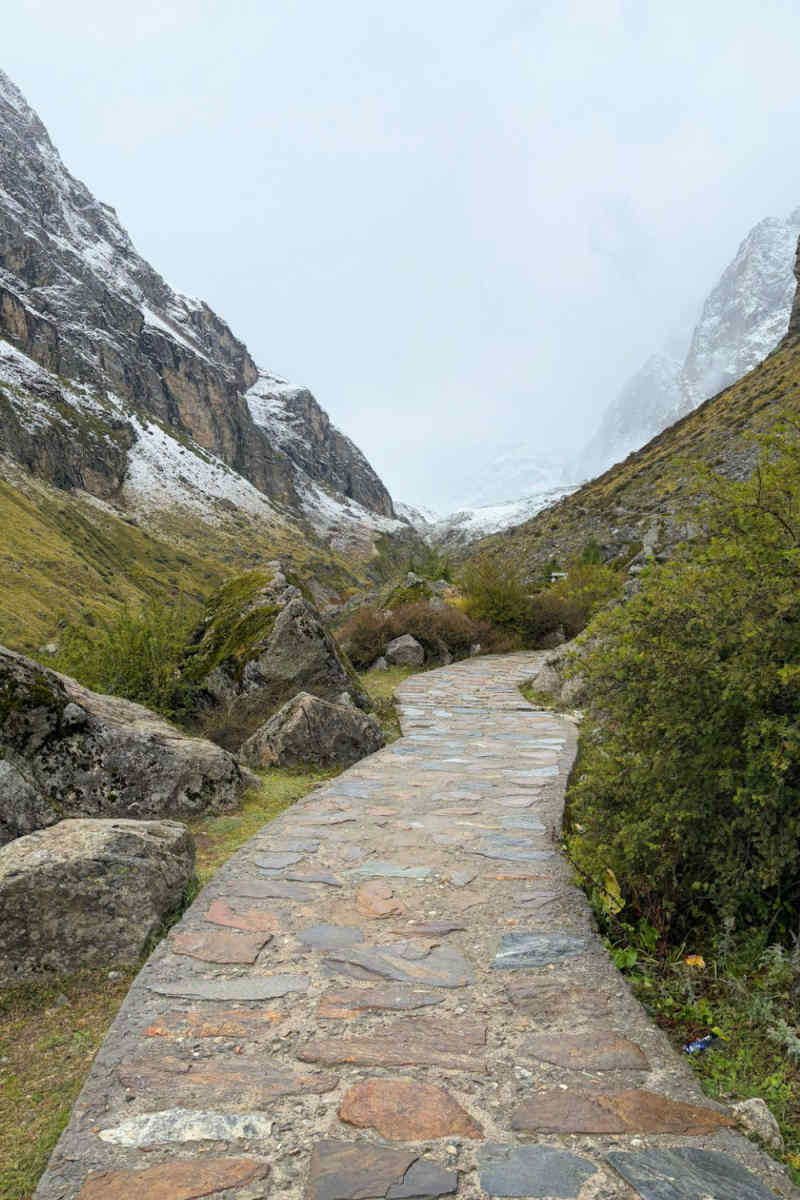 Wall Poster - Boardwalk in the Rocky Mountains