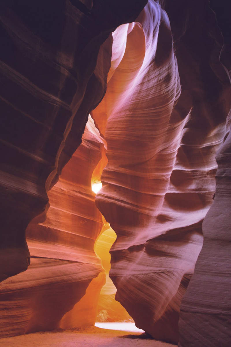 Wall Poster - Bonsai Garden in Antelope Canyon