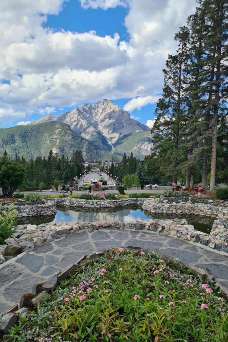 Wall Poster - Bonsai Garden in Banff