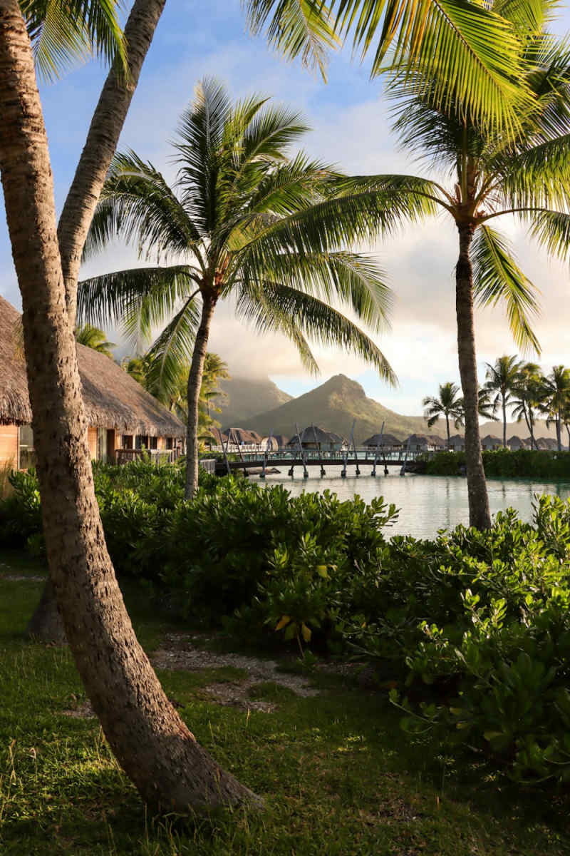 Wall Poster - Bonsai Garden in Bora Bora