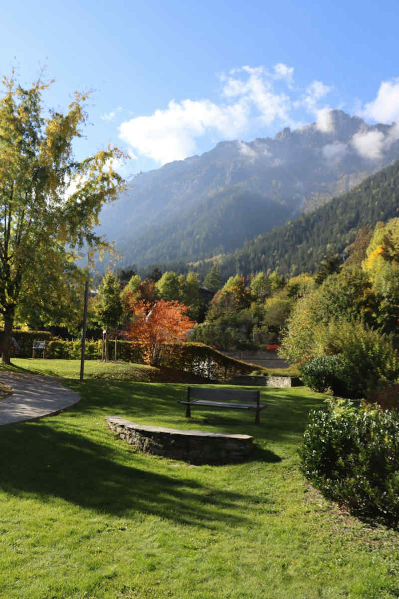 Wall Poster - Bonsai Garden in Chamonix