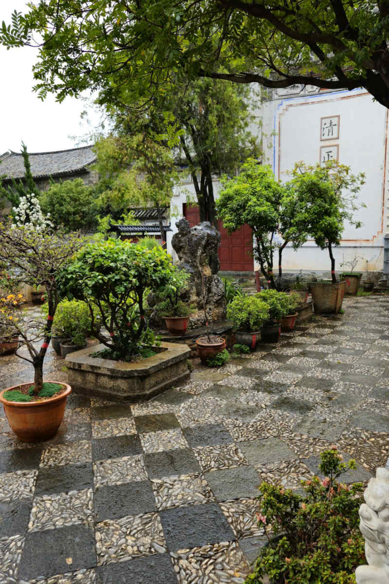 Wall Poster - Bonsai Garden in China