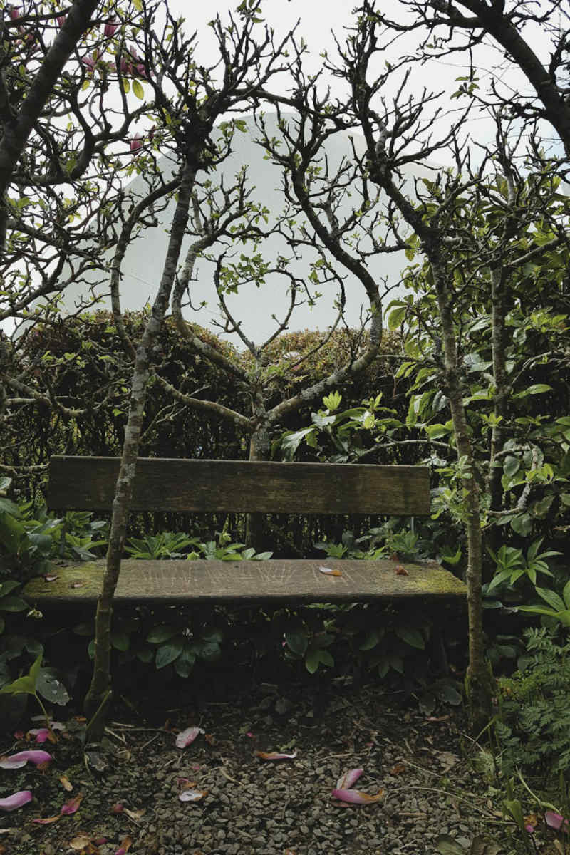 Wall Poster - Bonsai Garden in Cornwall