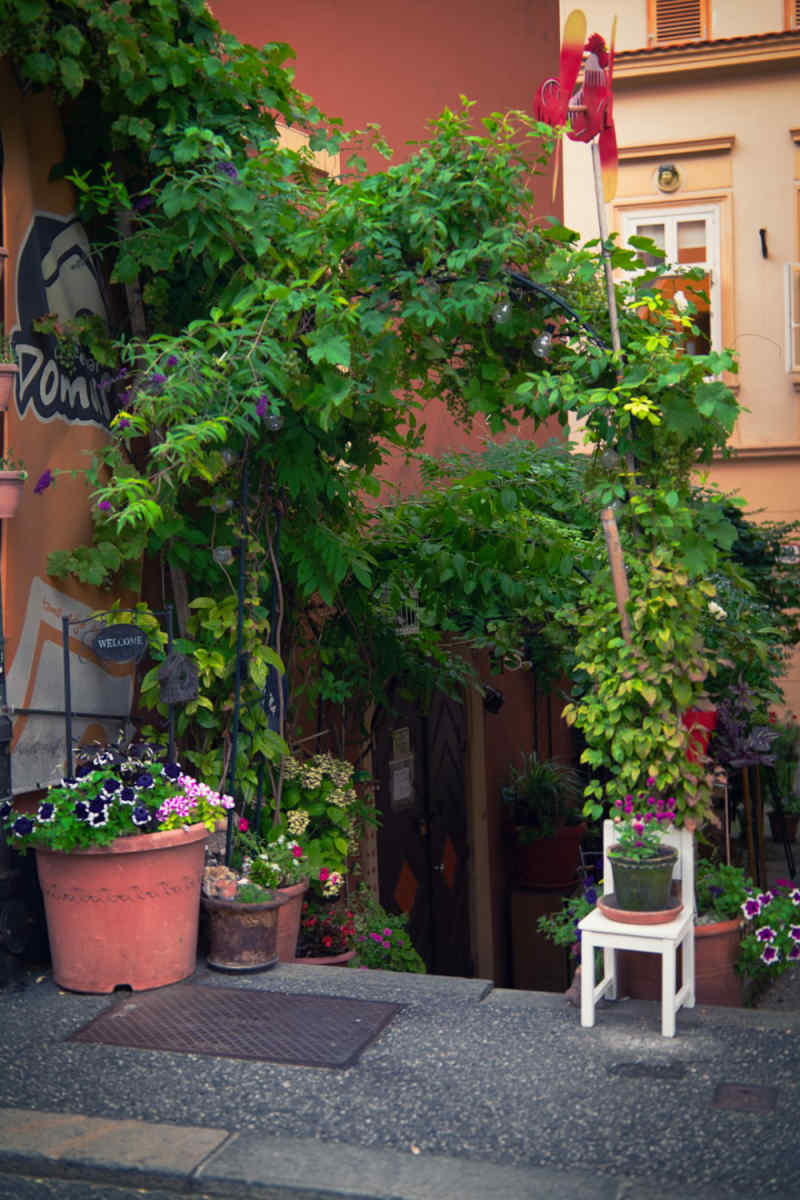Wall Poster - Bonsai Garden in Croatia