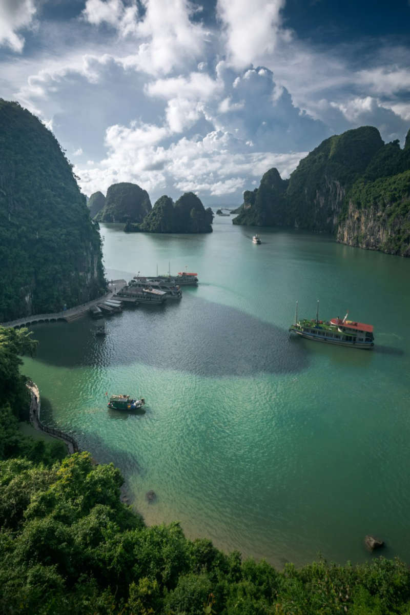 Wall Poster - Bonsai Garden in Halong Bay