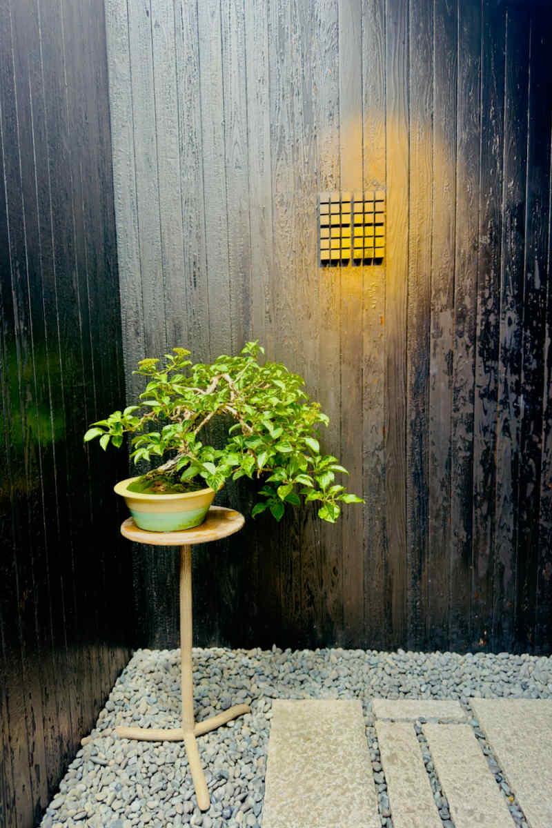 Wall Poster - Bonsai Garden in Japan