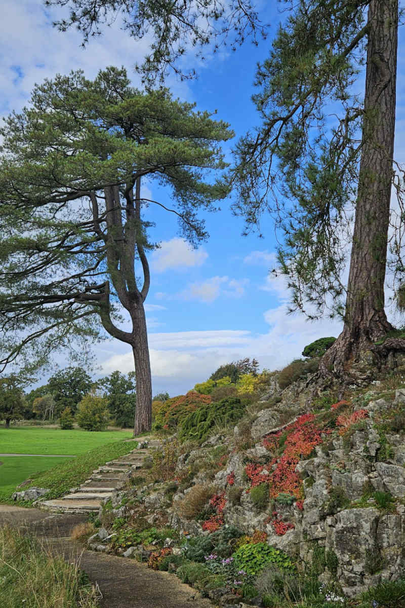 Wall Poster - Bonsai Garden in Wales