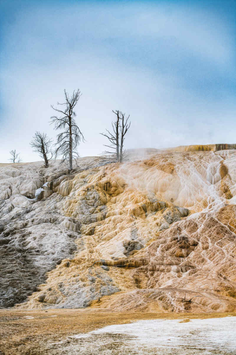 Wall Poster - Bonsai Garden in Yellowstone