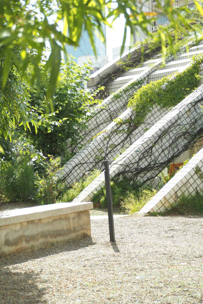 Wall Poster - Botanical Garden in China