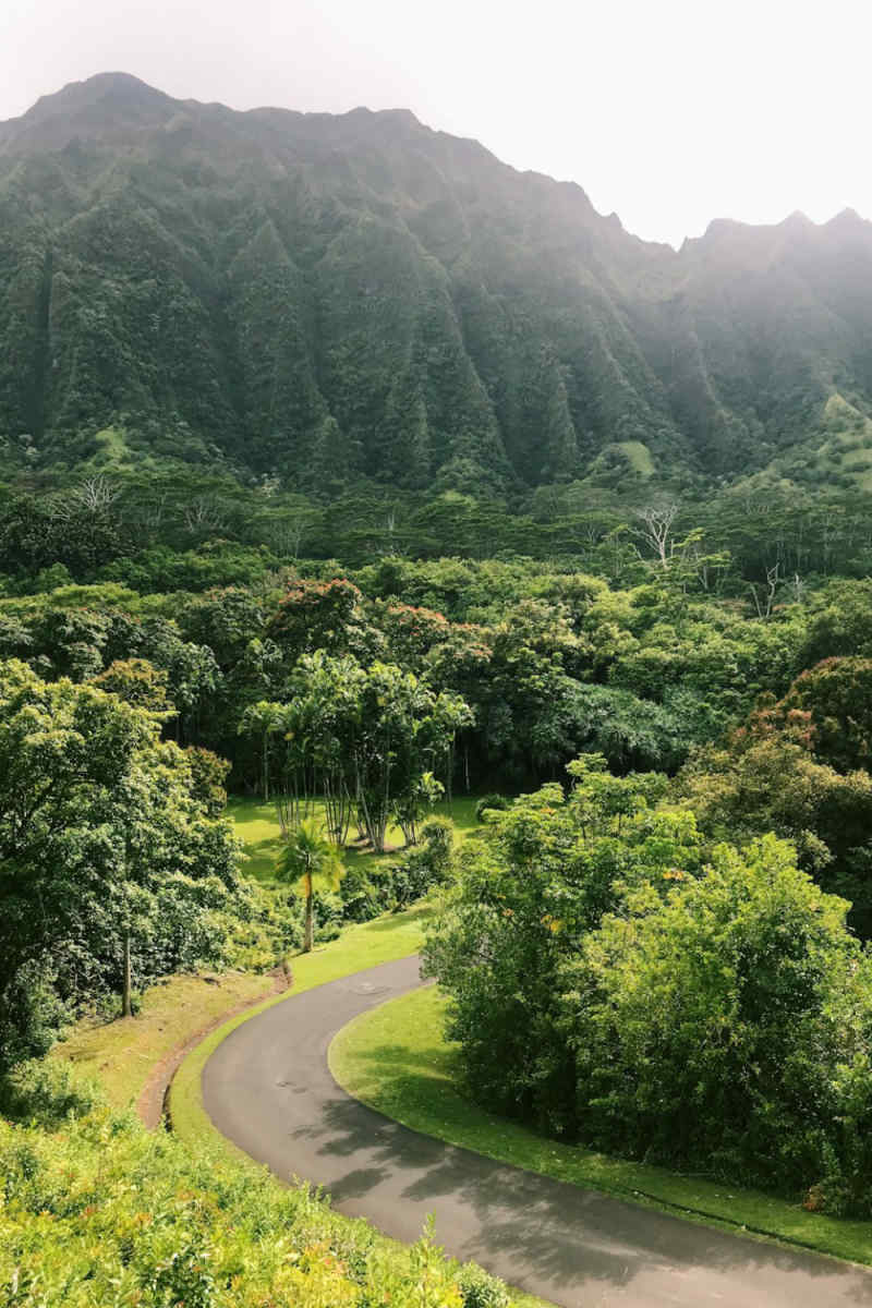 Wall Poster - Botanical Garden in Hawaii
