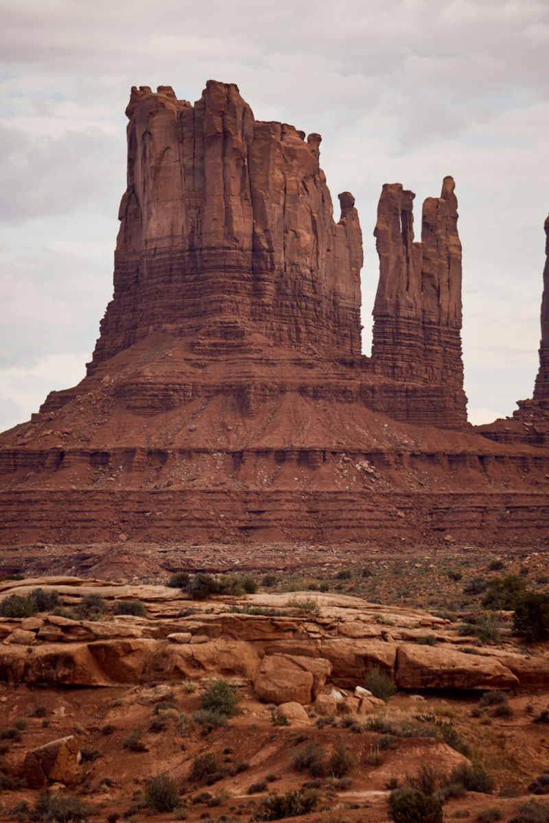 Wall Poster - Botanical Garden in Monument Valley