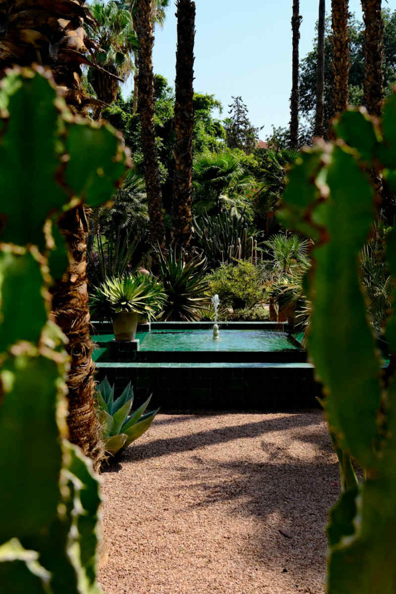 Wall Poster - Botanical Garden in Morocco