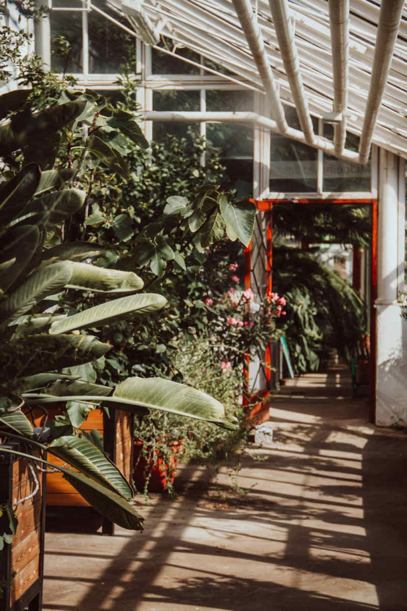 Wall Poster - Botanical Garden in Norway