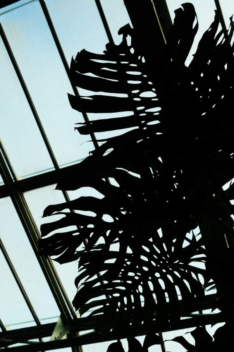 Wall Poster - Botanical Garden in Paris