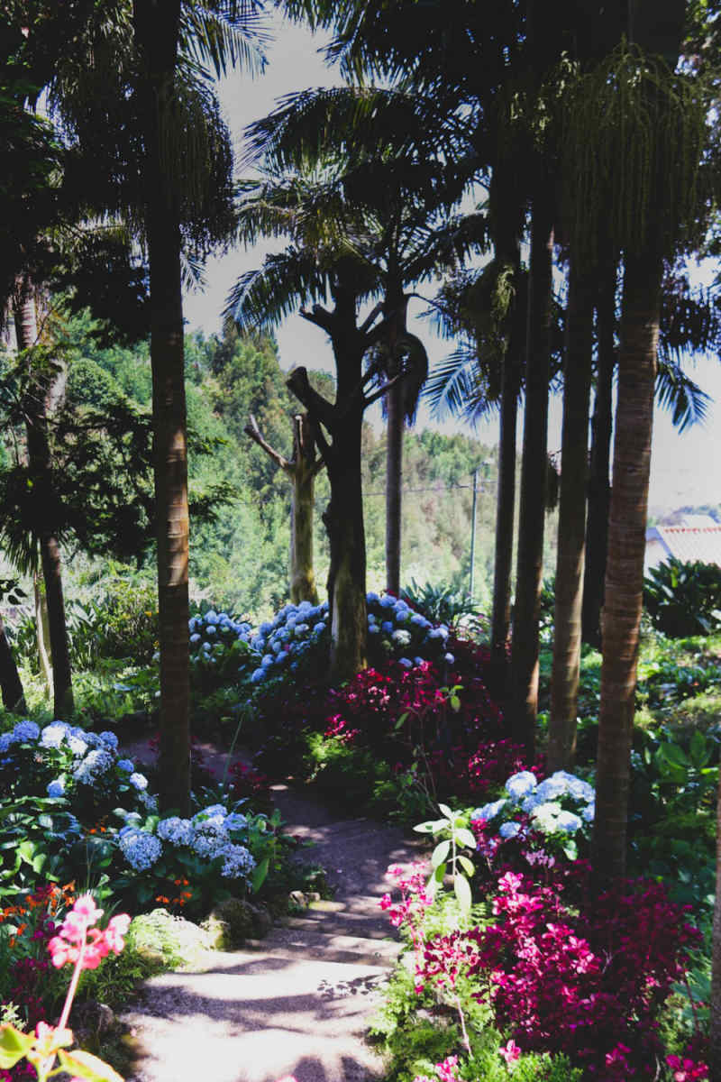 Wall Poster - Botanical Garden in Portugal