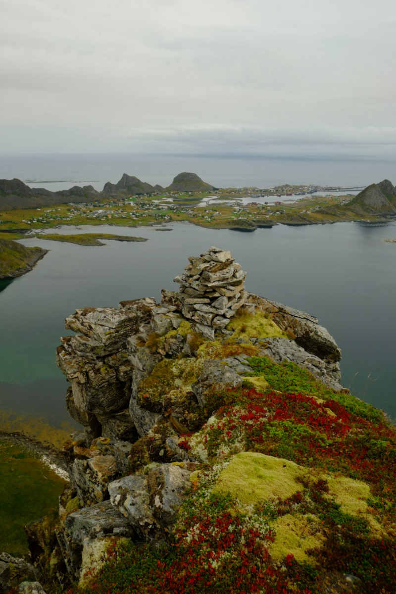 Wall Poster - Botanical Garden in the Lofoten Islands