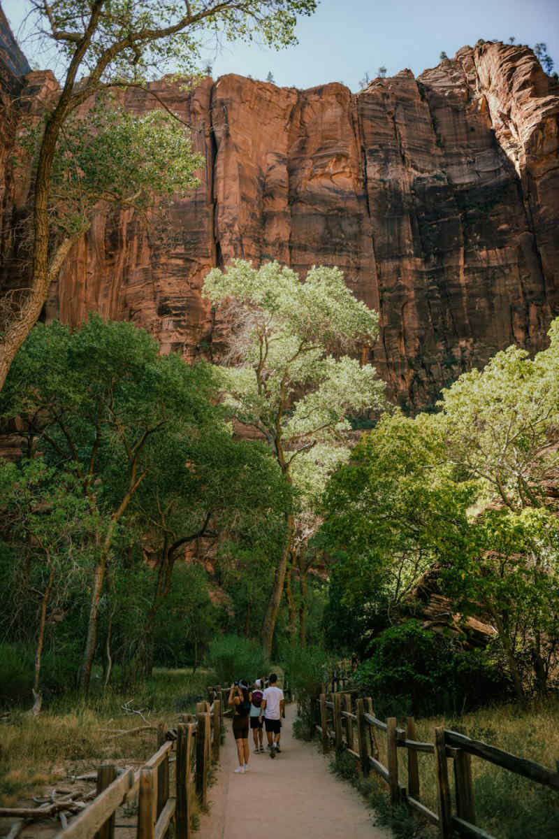 Wall Poster - Botanical Garden in Zion National Park