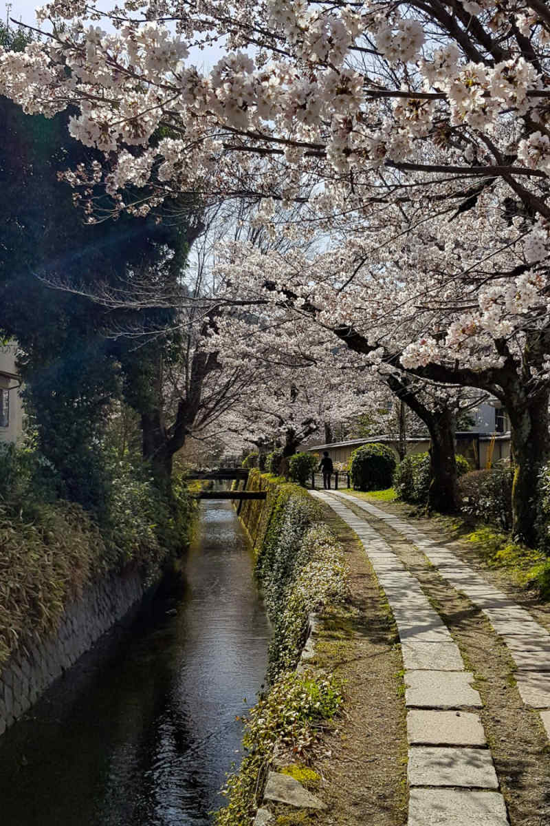 Wall Poster - Canal in Kyoto