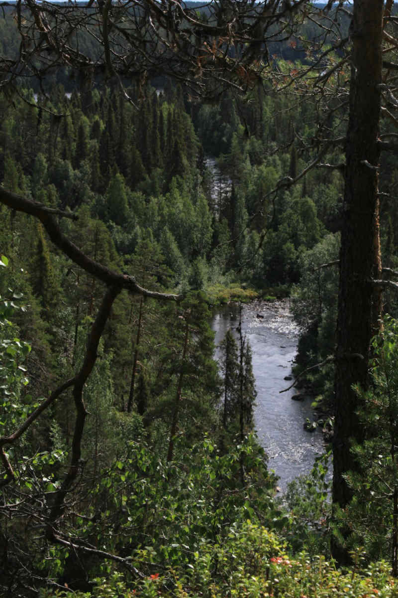 Wall Poster - Canyon in Finland