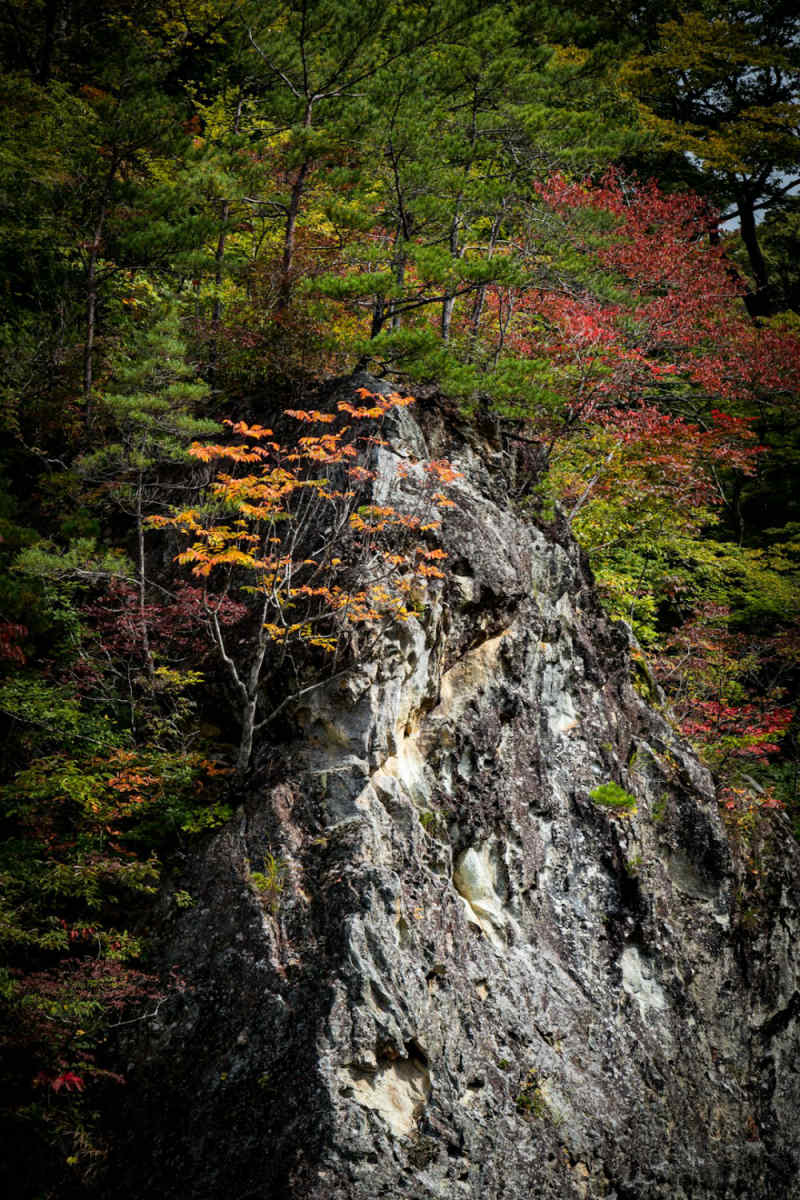 Wall Poster - Canyon in Japan