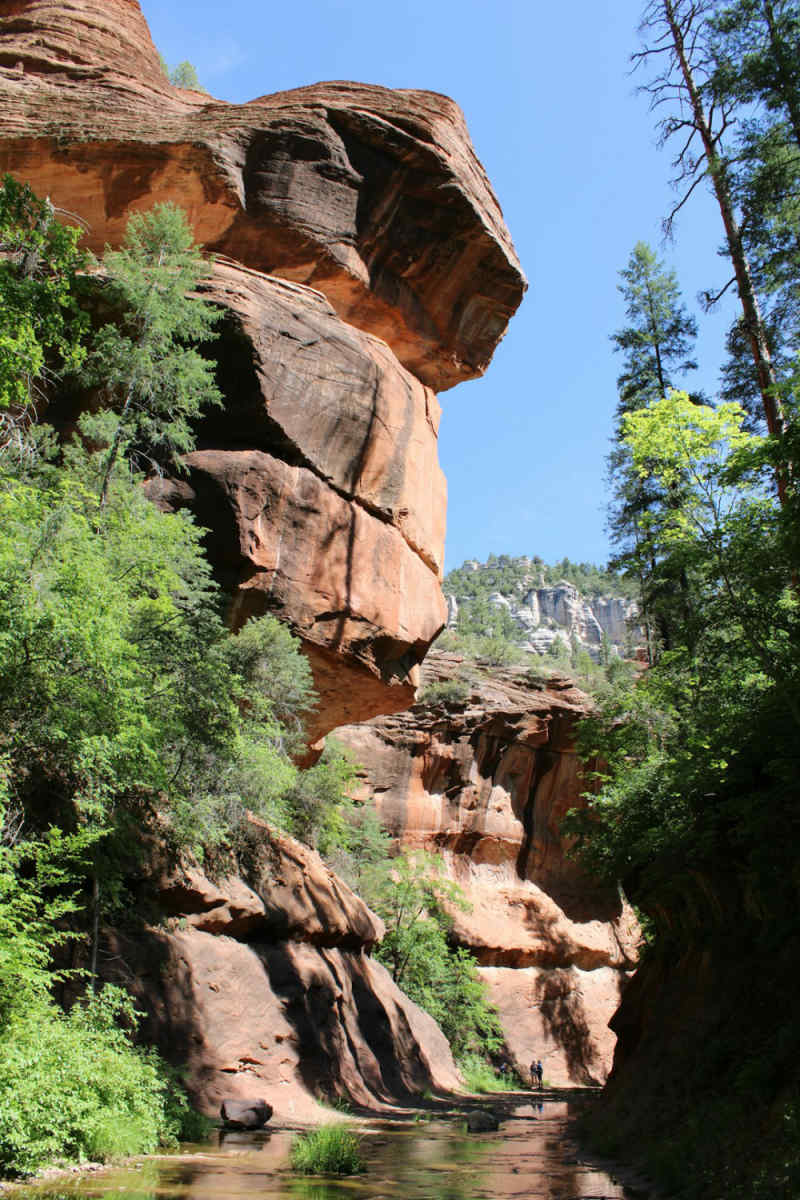 Wall Poster - Canyon in Sedona