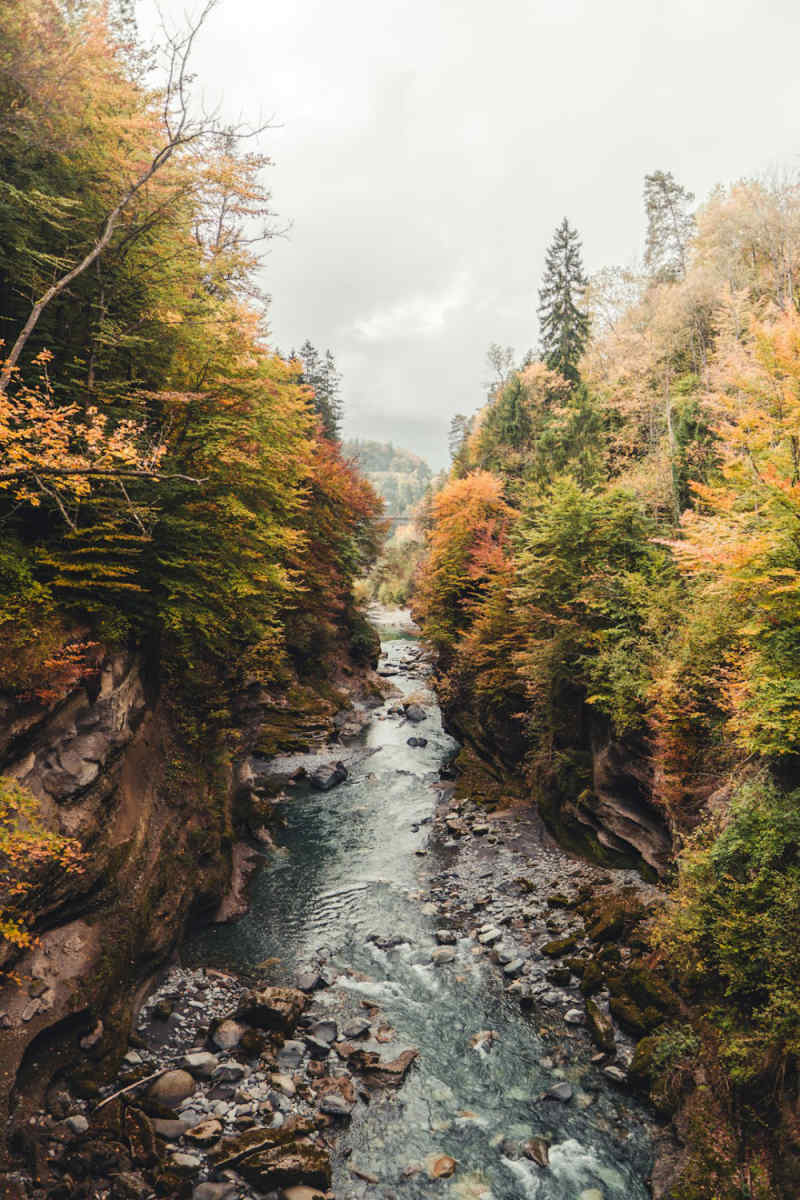 Wall Poster - Canyon in Switzerland