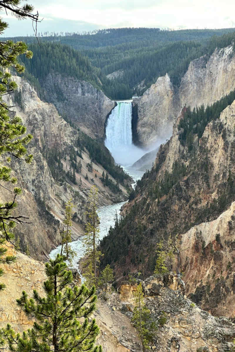 Wall Poster - Canyon in the Grand Tetons