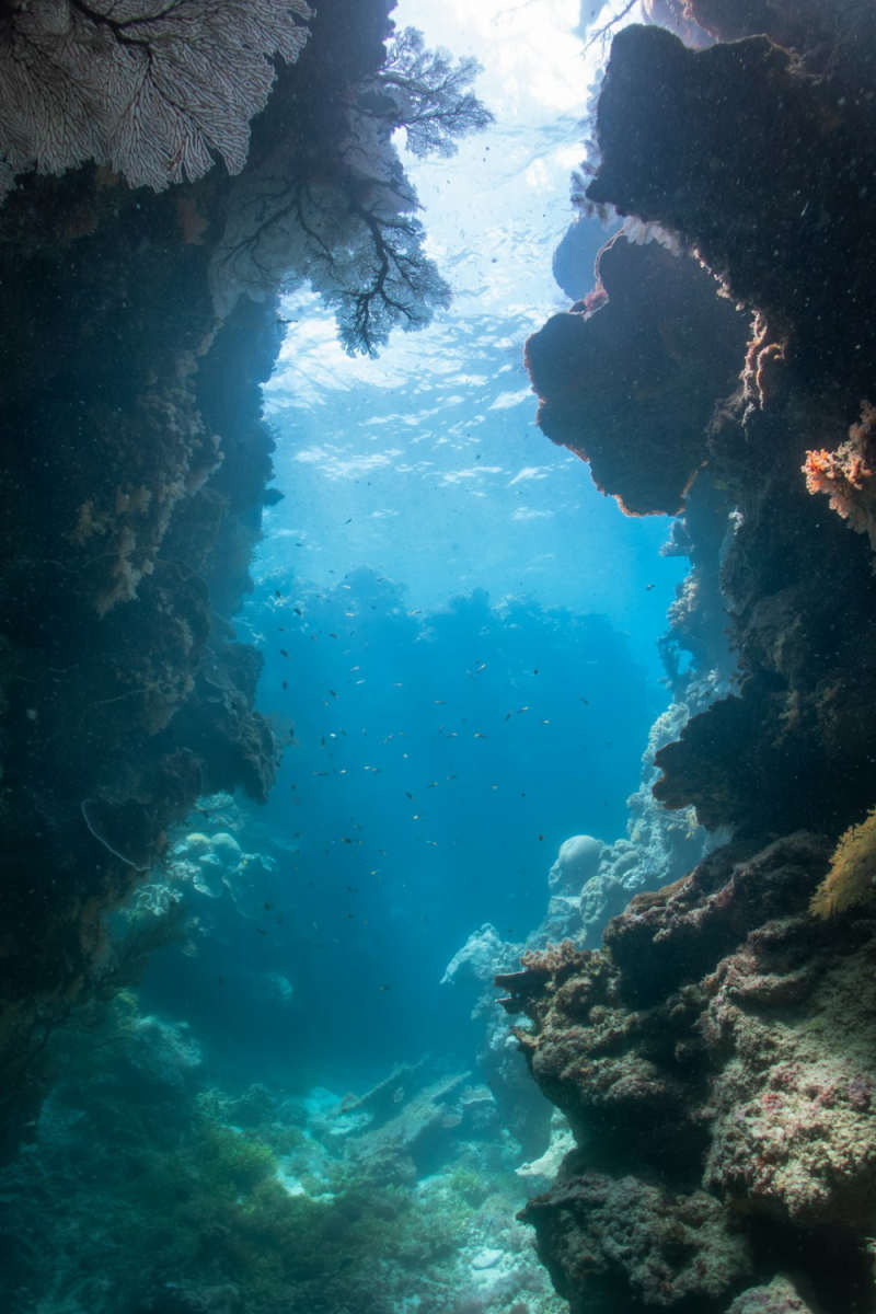 Wall Poster - Canyon in the Great Barrier Reef