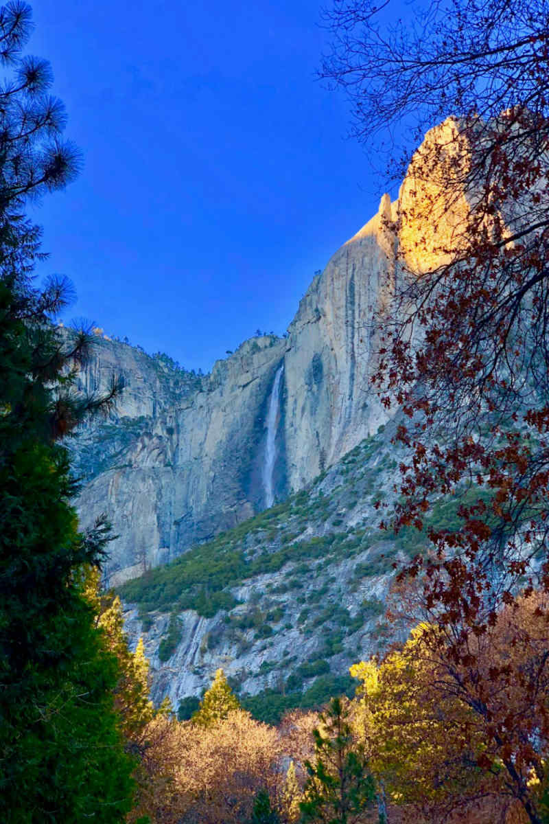 Wall Poster - Canyon in Yosemite