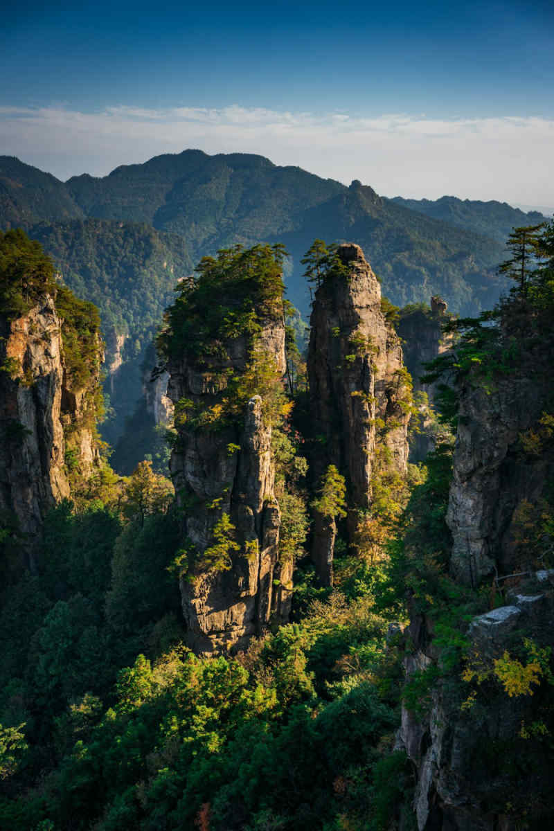 Wall Poster - Canyon in Zhangjiajie