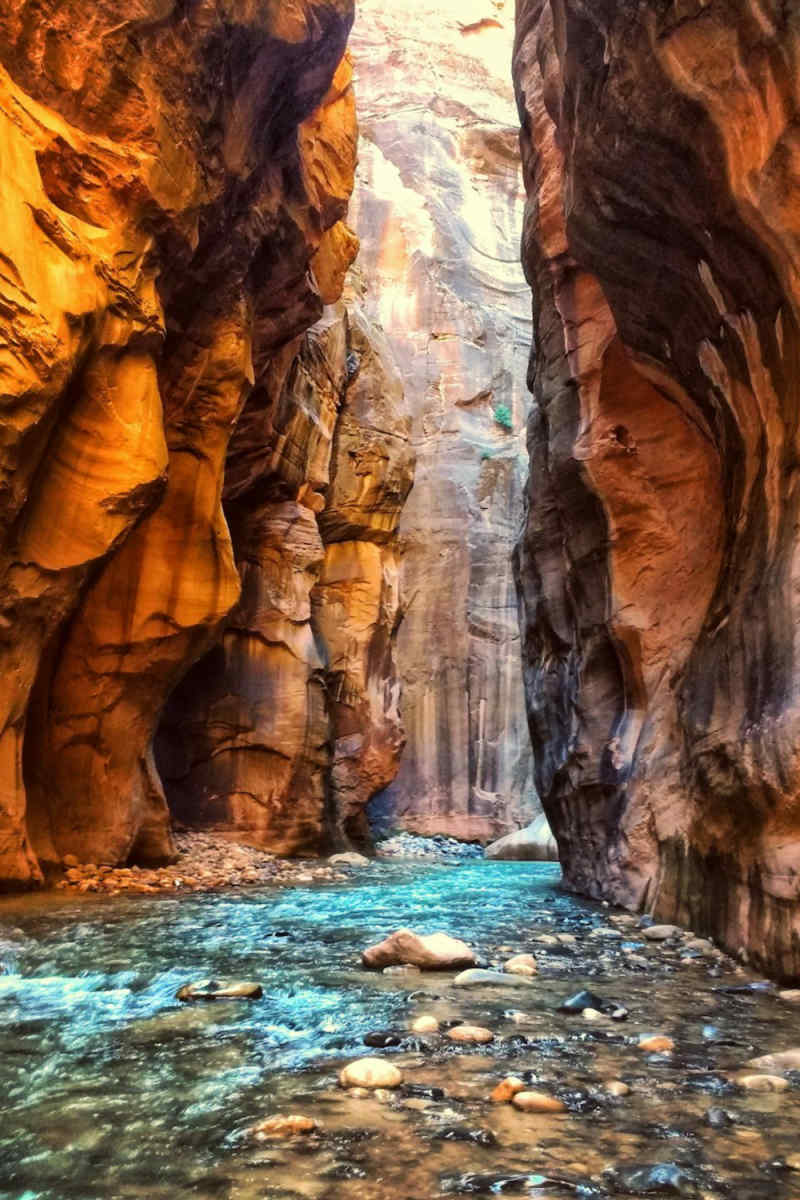 Wall Poster - Canyon in Zion National Park