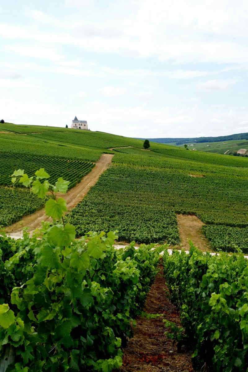 Wall Poster - Castle in Champagne