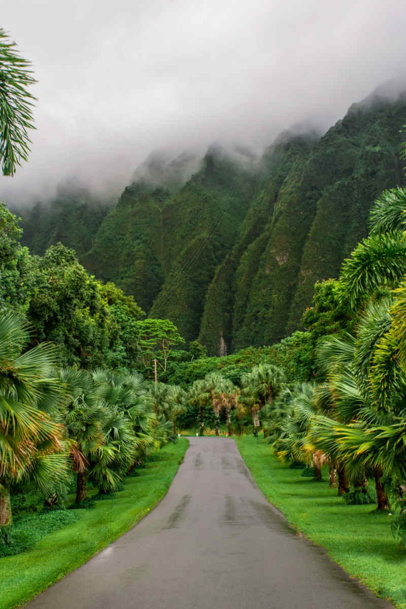 Wall Poster - Castle in Hawaii