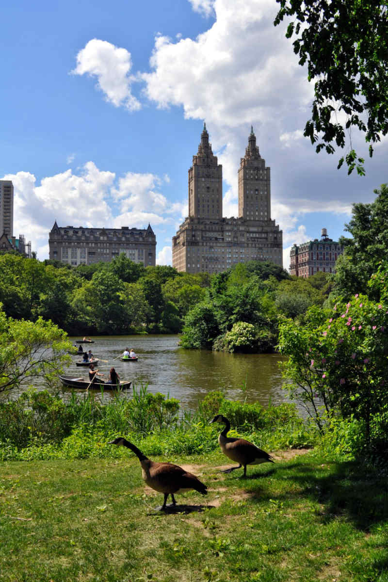 Wall Poster - Castle in New York