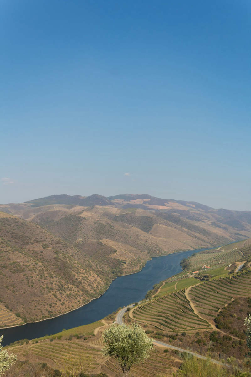 Wall Poster - Castle in the Douro Valley