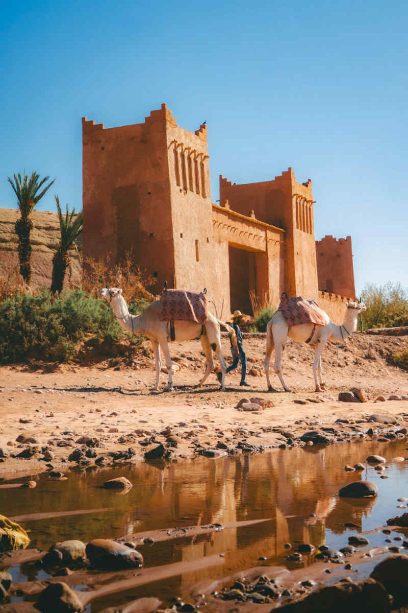 Wall Poster - Castle in the Sahara