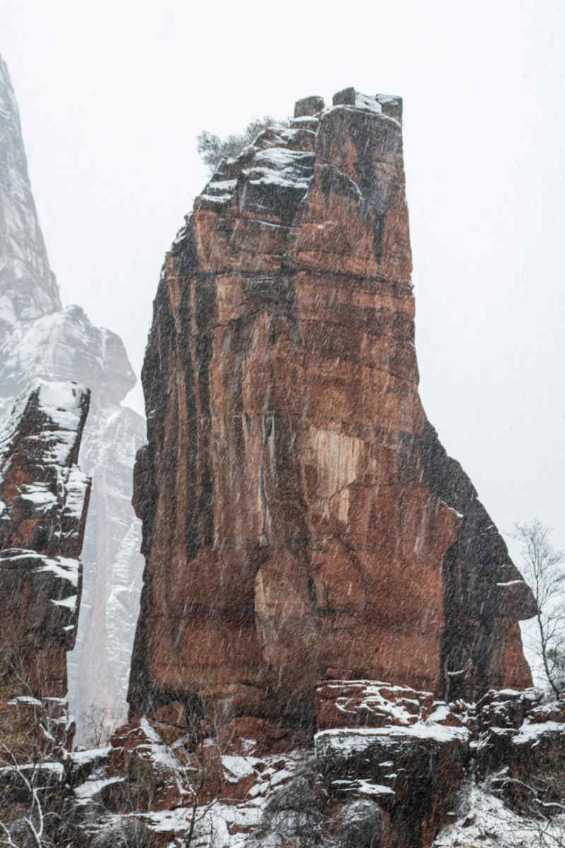 Wall Poster - Castle in Zion National Park