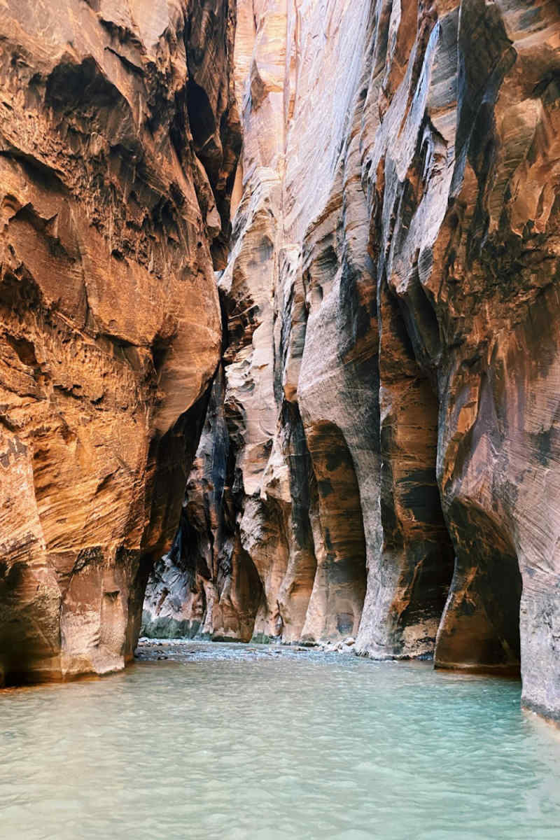 Wall Poster - Cathedral in Zion National Park
