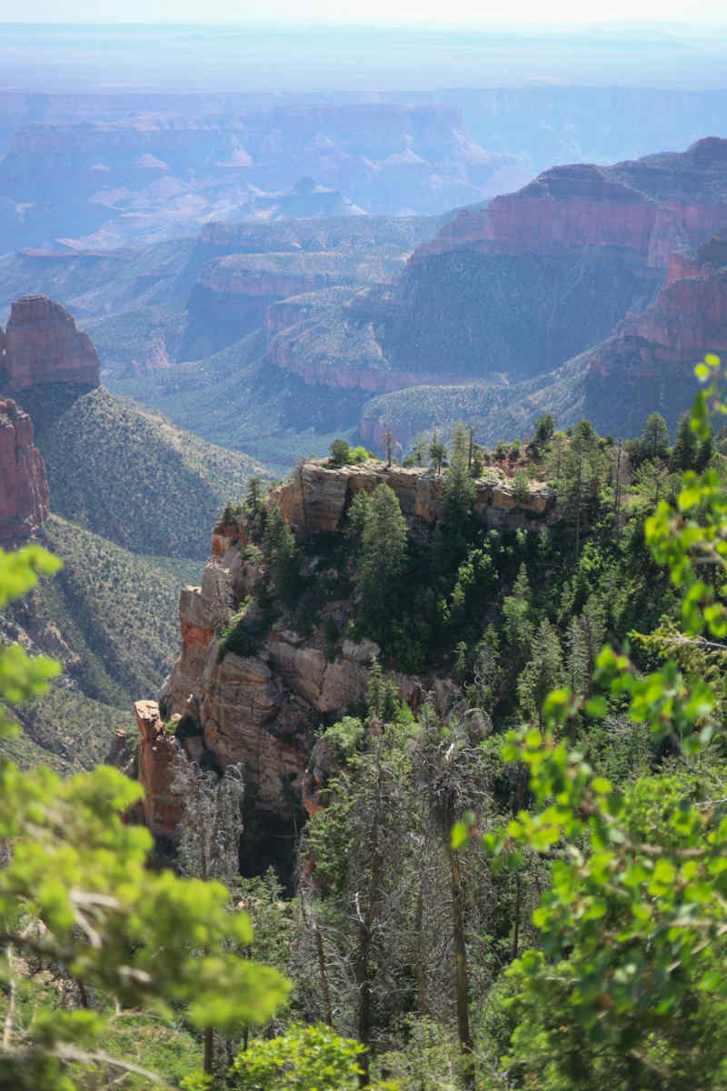 Wall Poster - Chapel in the Grand Canyon
