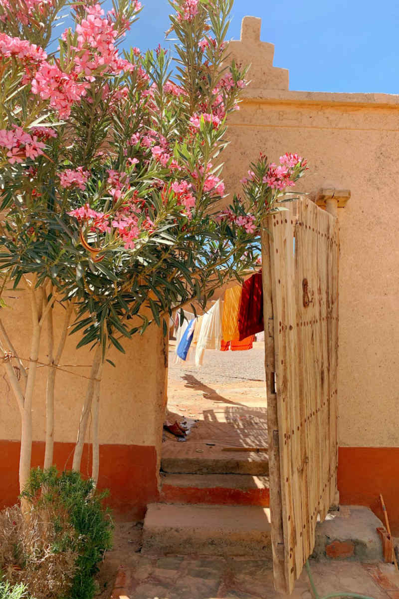Wall Poster - Cherry Blossom Tree in Morocco