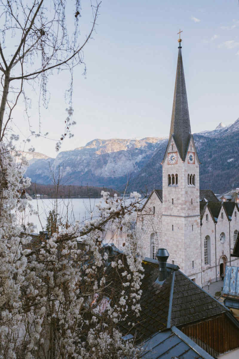 Wall Poster - Cherry Blossom Tree in the Austrian Alps