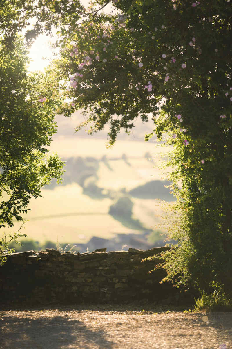 Wall Poster - Cherry Blossom Tree in the Cotswolds