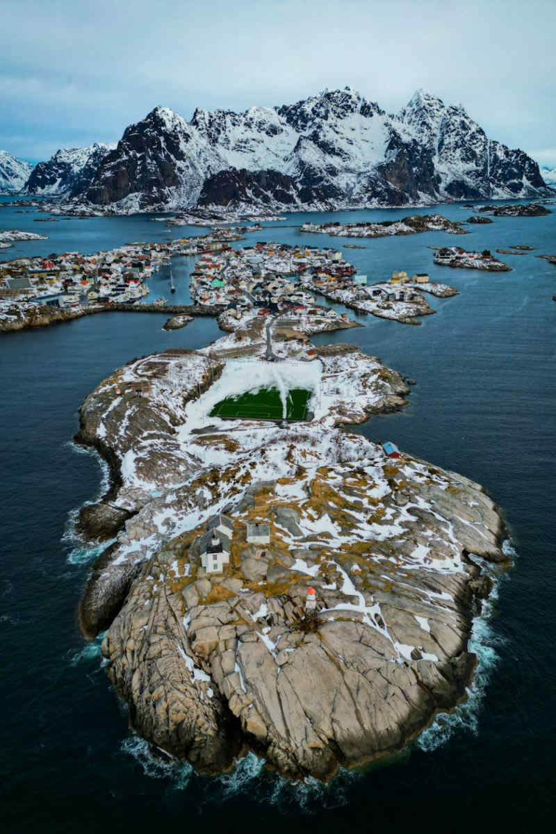 Wall Poster - Cherry Blossom Tree in the Lofoten Islands