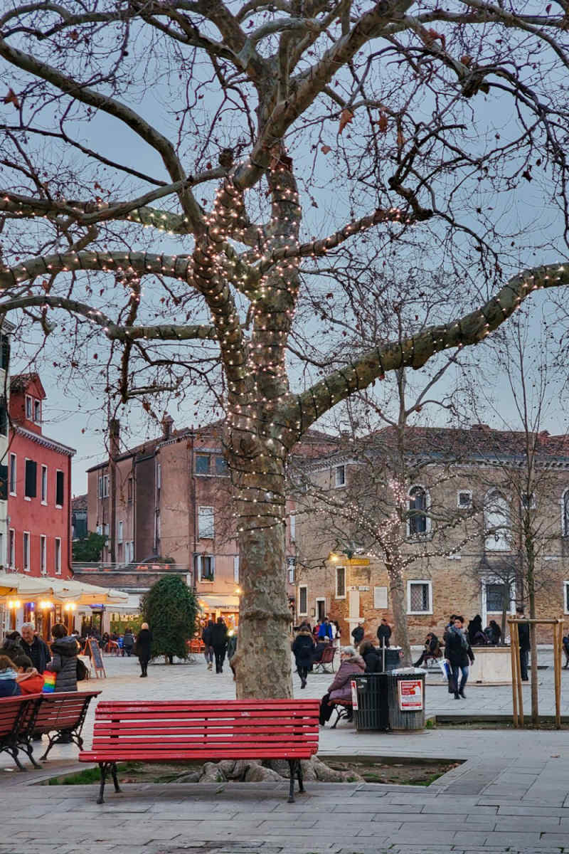 Wall Poster - Cherry Blossom Tree in Venice