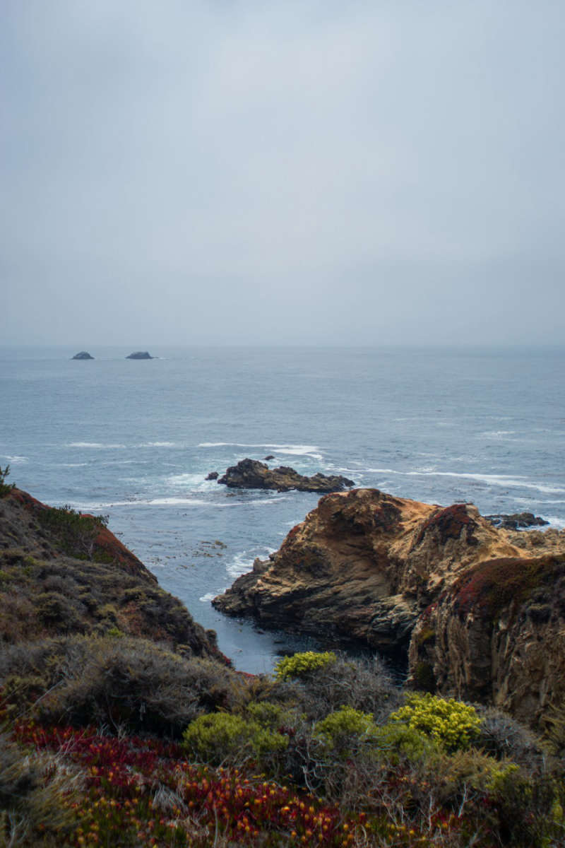 Wall Poster - City Rooftops in Big Sur