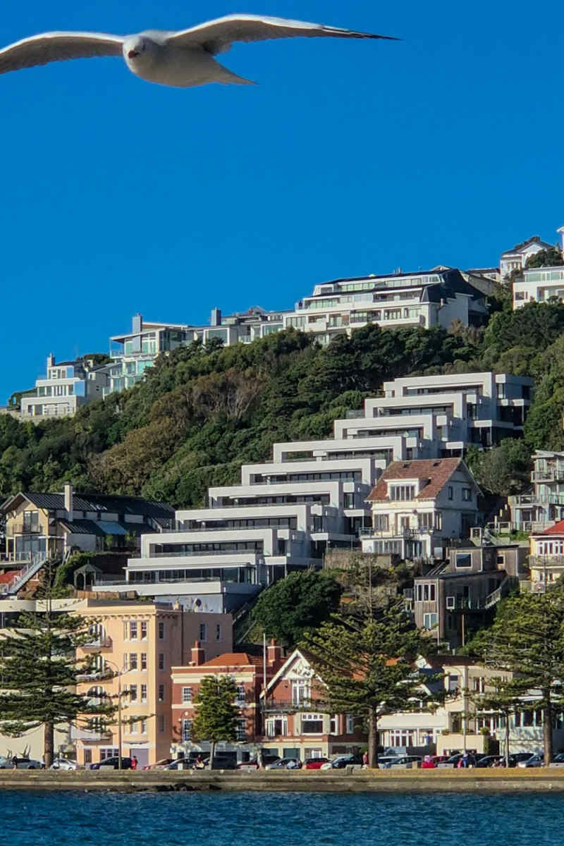 Wall Poster - City Rooftops in New Zealand