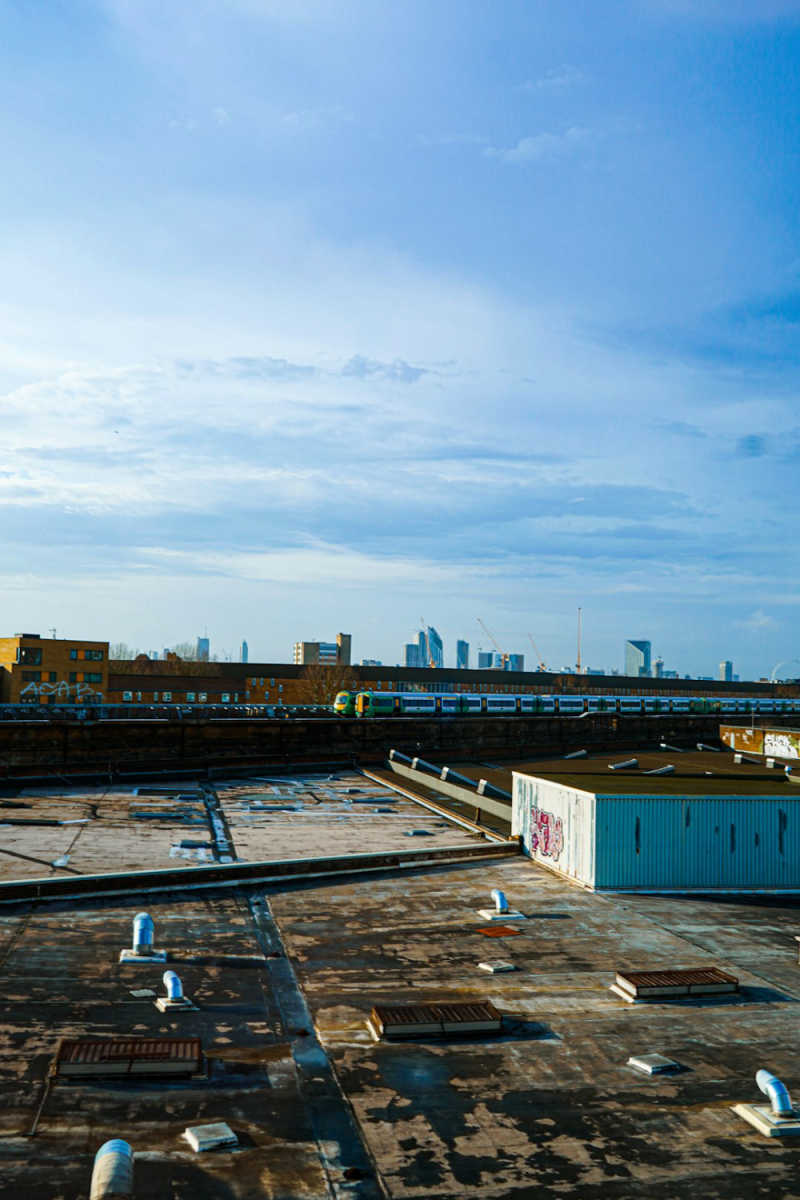 Wall Poster - City Rooftops in the Everglades