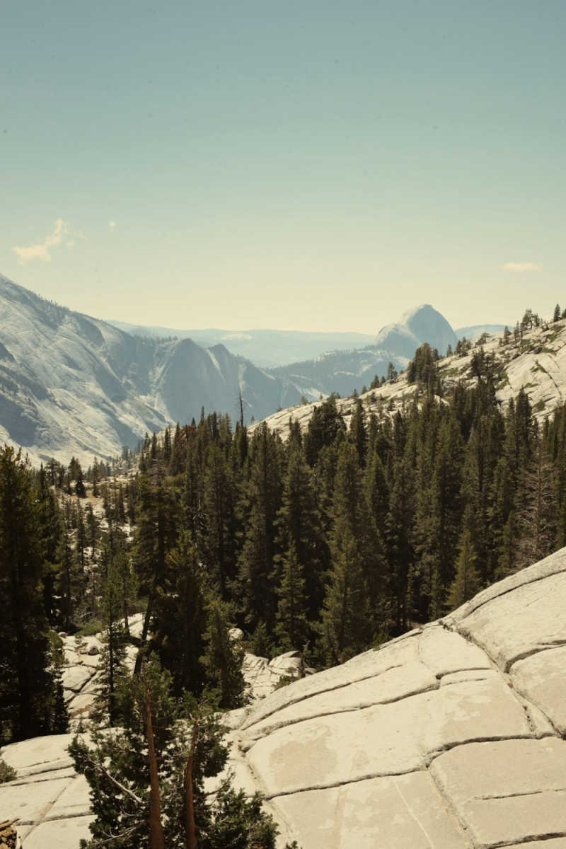 Wall Poster - City Rooftops in Yosemite
