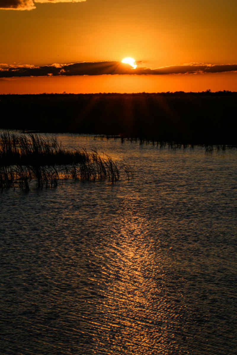 Wall Poster - City Skyline in the Everglades