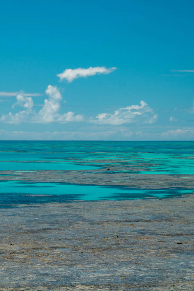 Wall Poster - City Skyline in the Great Barrier Reef